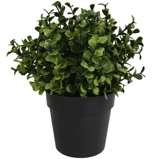 Small Potted Artificial Buxus Plant UV Resistant 20cm-0