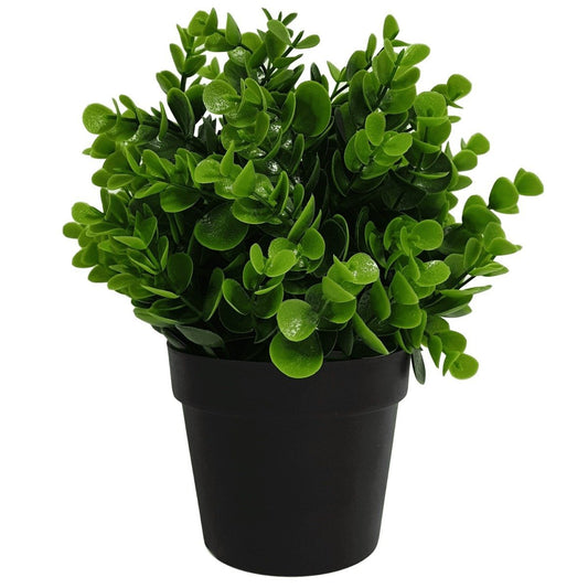 Small Potted Artificial Peperomia Plant UV Resistant 20cm-0