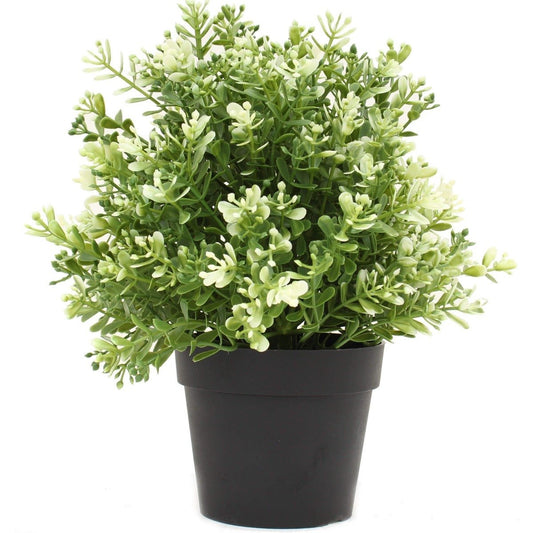 Small Potted Artificial White Jade Plant UV Resistant 20cm-0