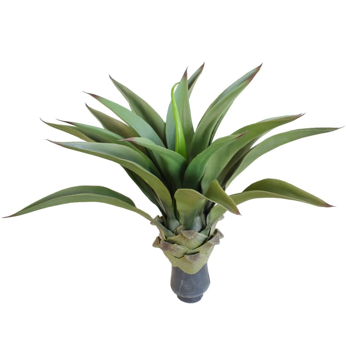 UV Agave 50cm No Pot-0