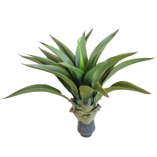 UV Agave 50cm No Pot-0
