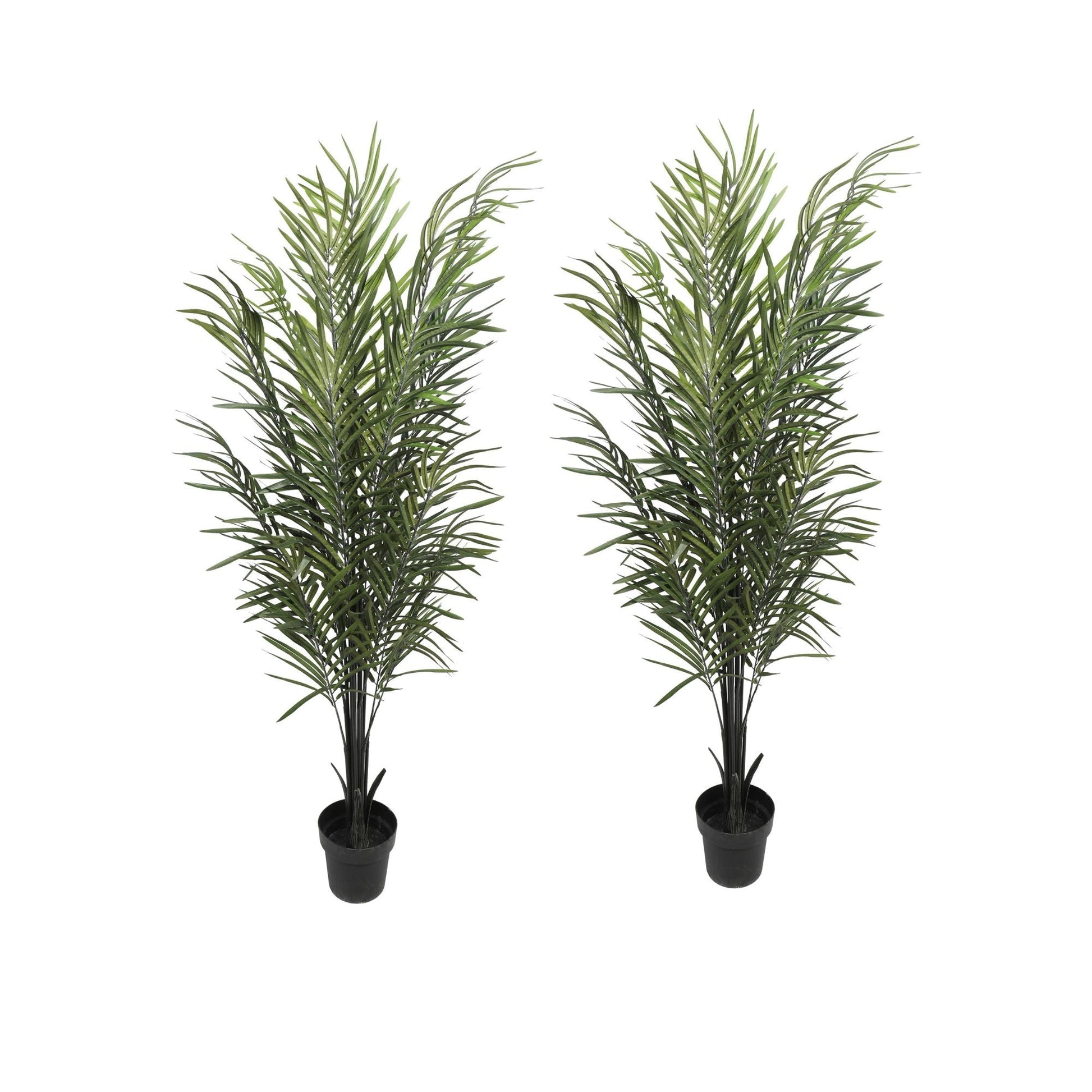 Artificial Areca Palm Black Trunks 190cm (2 Artificial Palm Set)-0