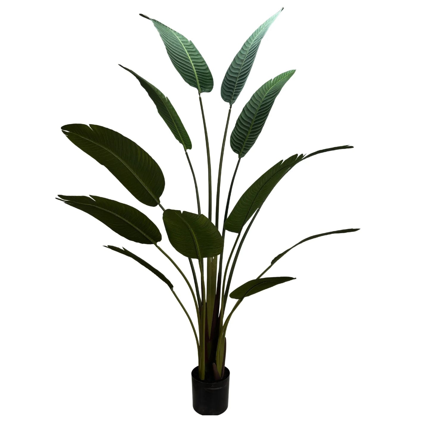 Grand Artificial Potted Travellers Palm (Banana Palm Tree) 160cm-0