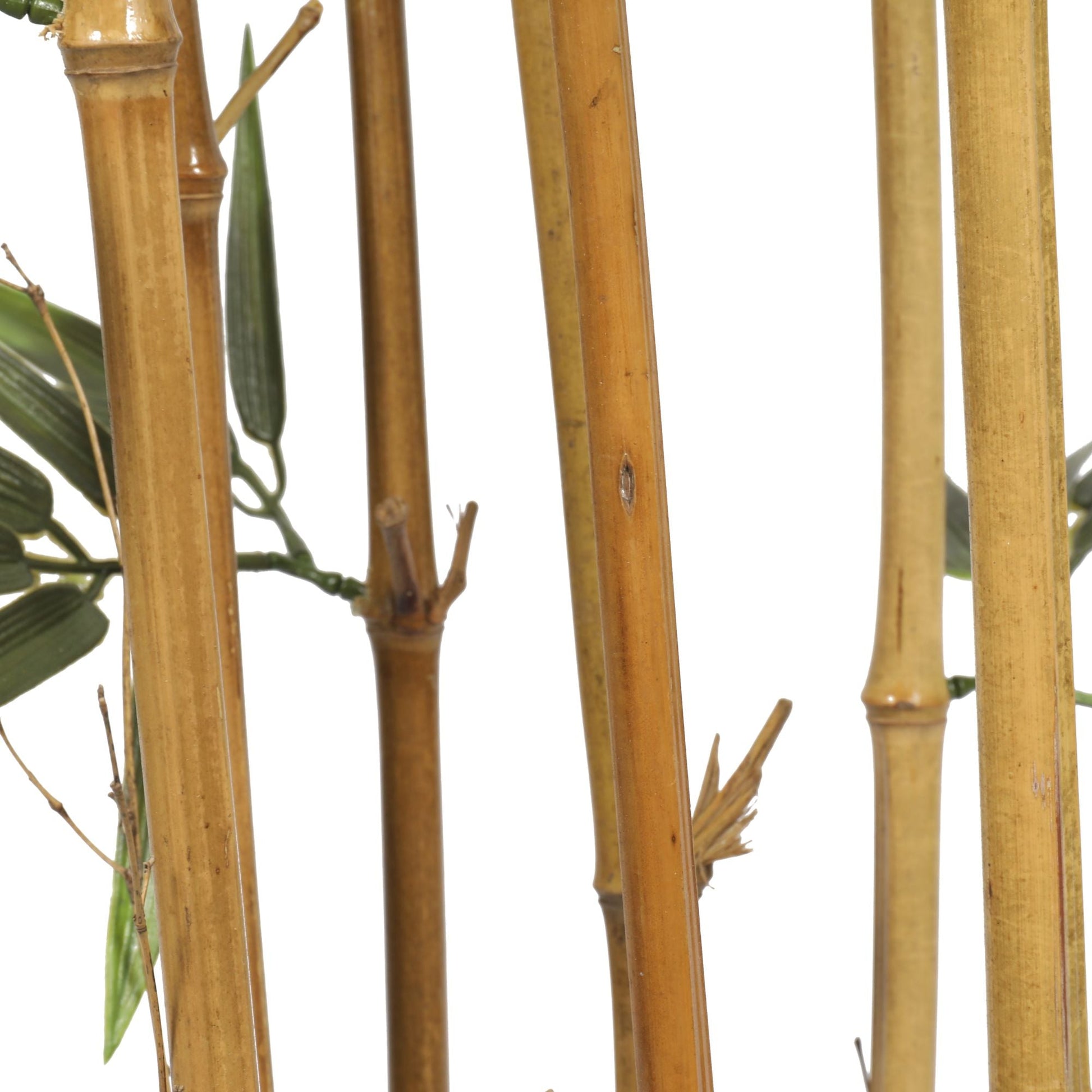 Premium Natural Cane Artificial Bamboo (UV Resistant) 150cm-2