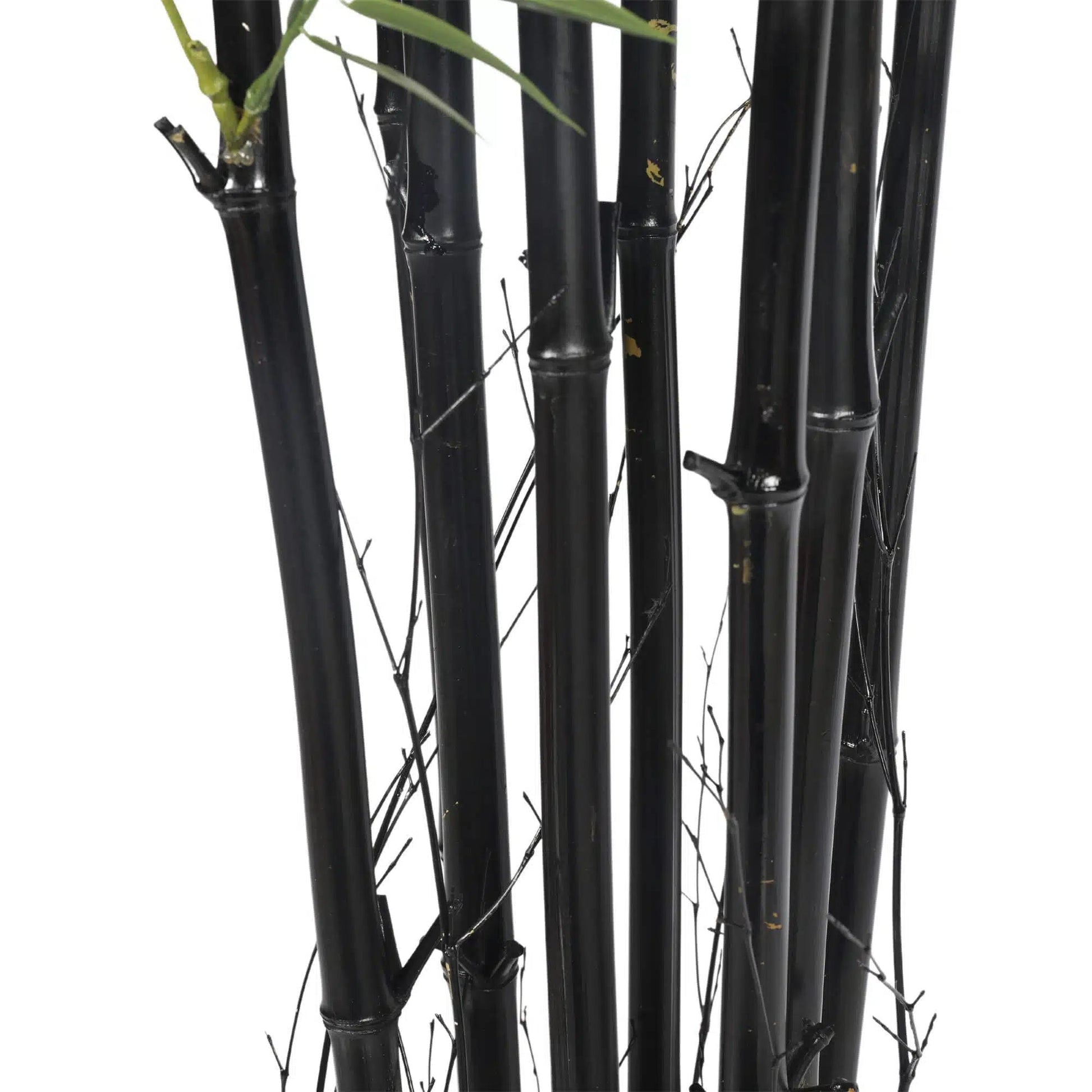 Premium Potted Artificial Black Bamboo Tree UV Resistant 180cm-4