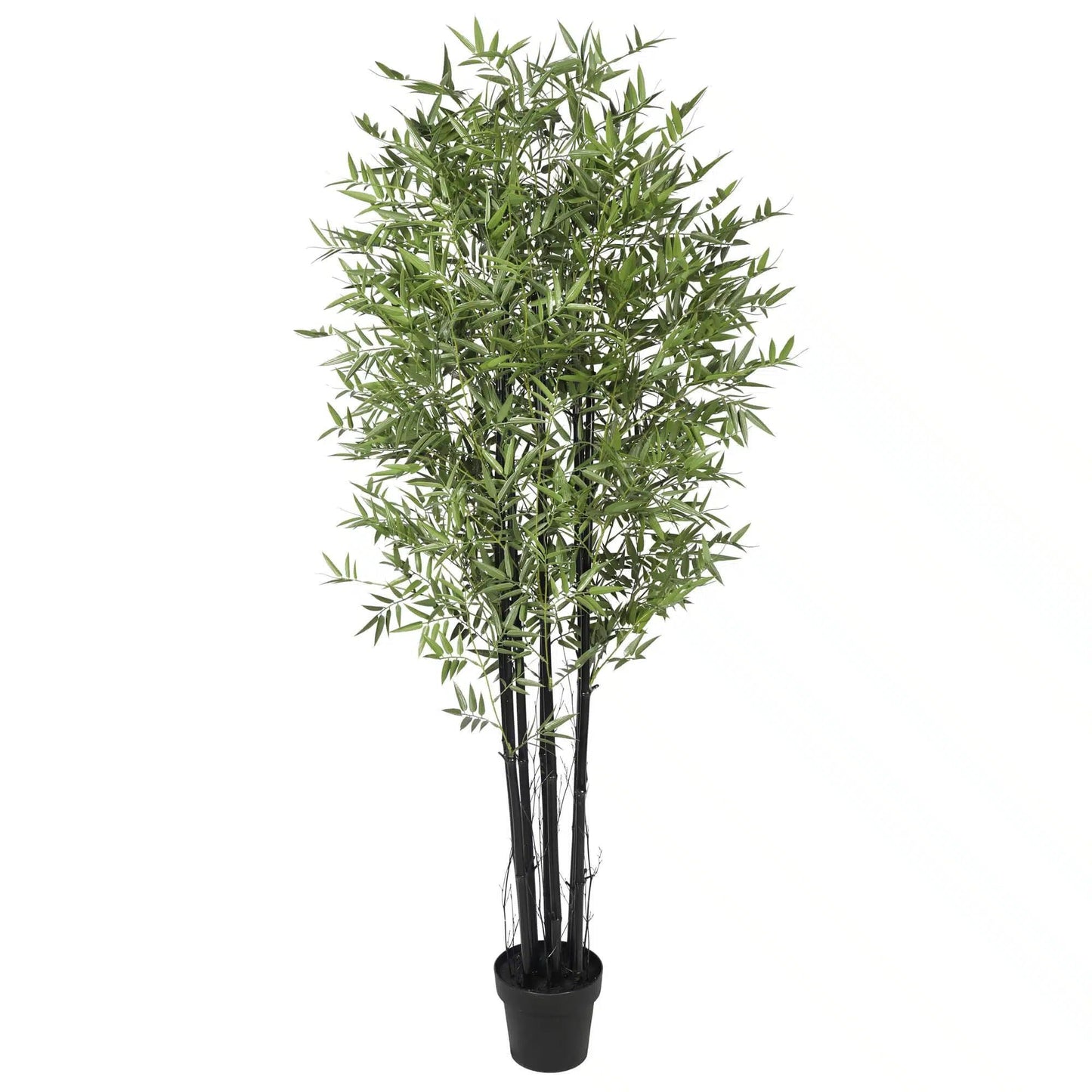 Premium Potted Artificial Black Bamboo Tree UV Resistant 180cm-0