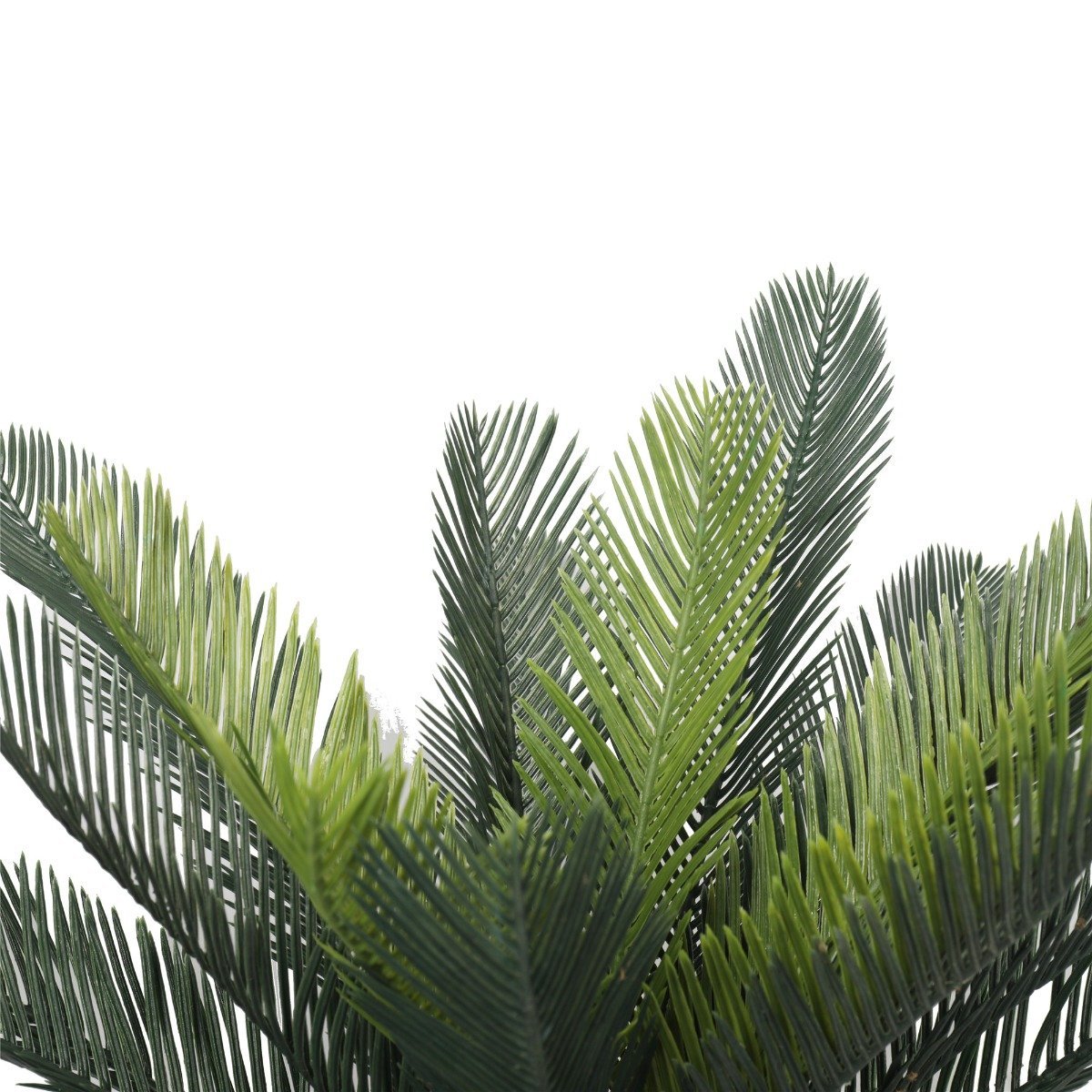 Artificial Cyac (Cycad) Plant 60cm-4