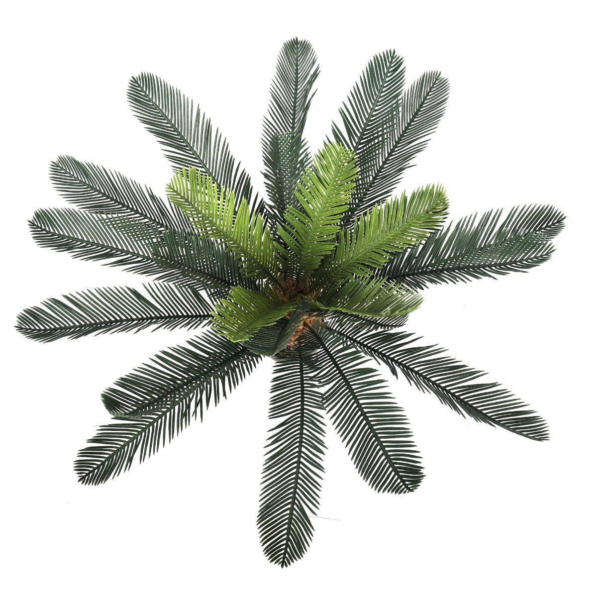 Artificial Cyac (Cycad) Plant 60cm-1