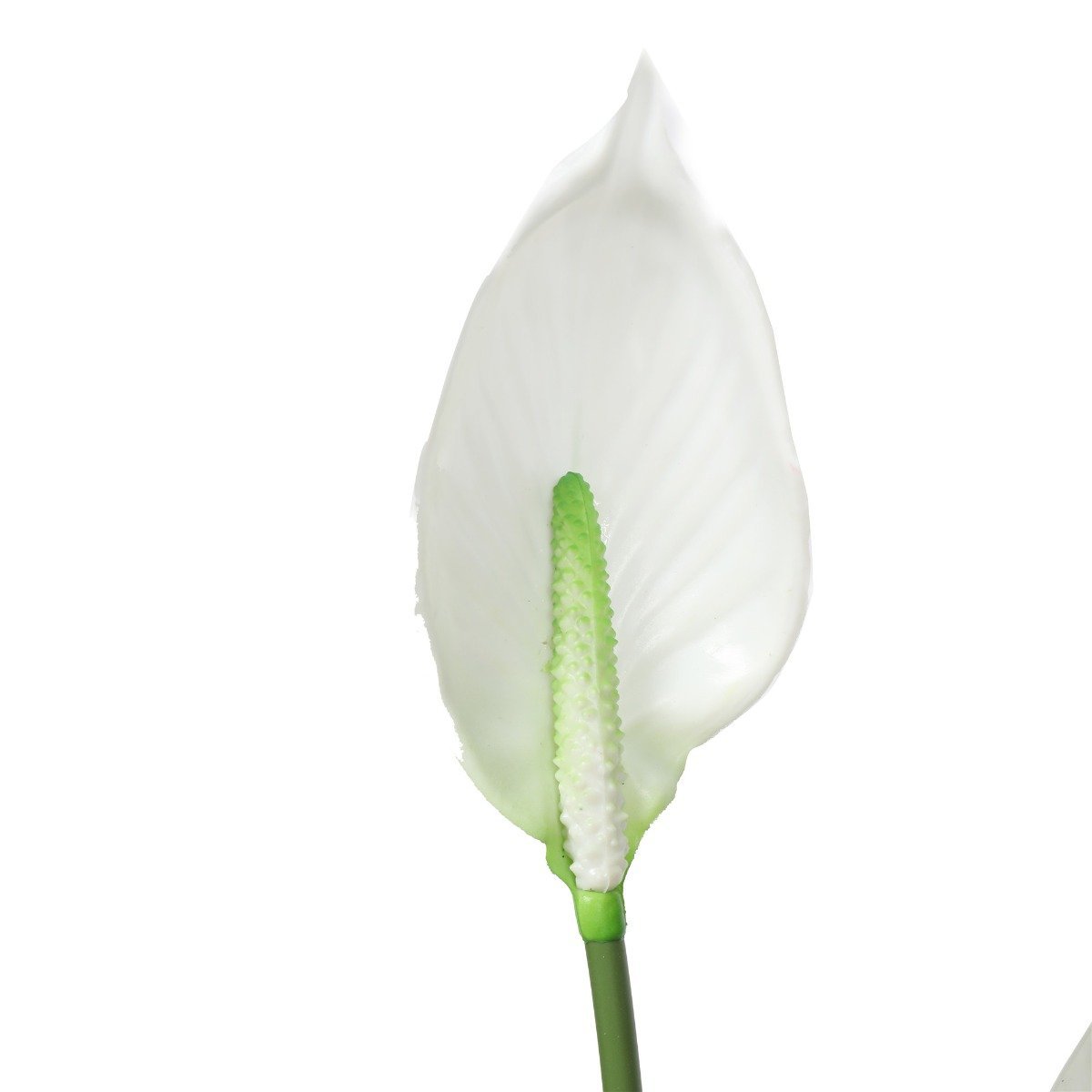 Artificial Flowering White Peace Lily / Calla Lily 95cm-2