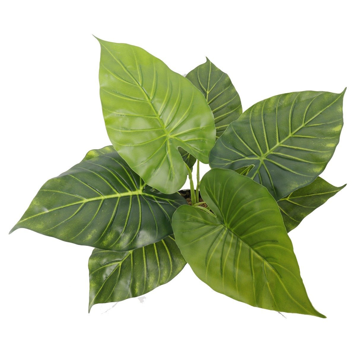 Artificial Potted Taro Plant / Elephant Ear 55cm-1