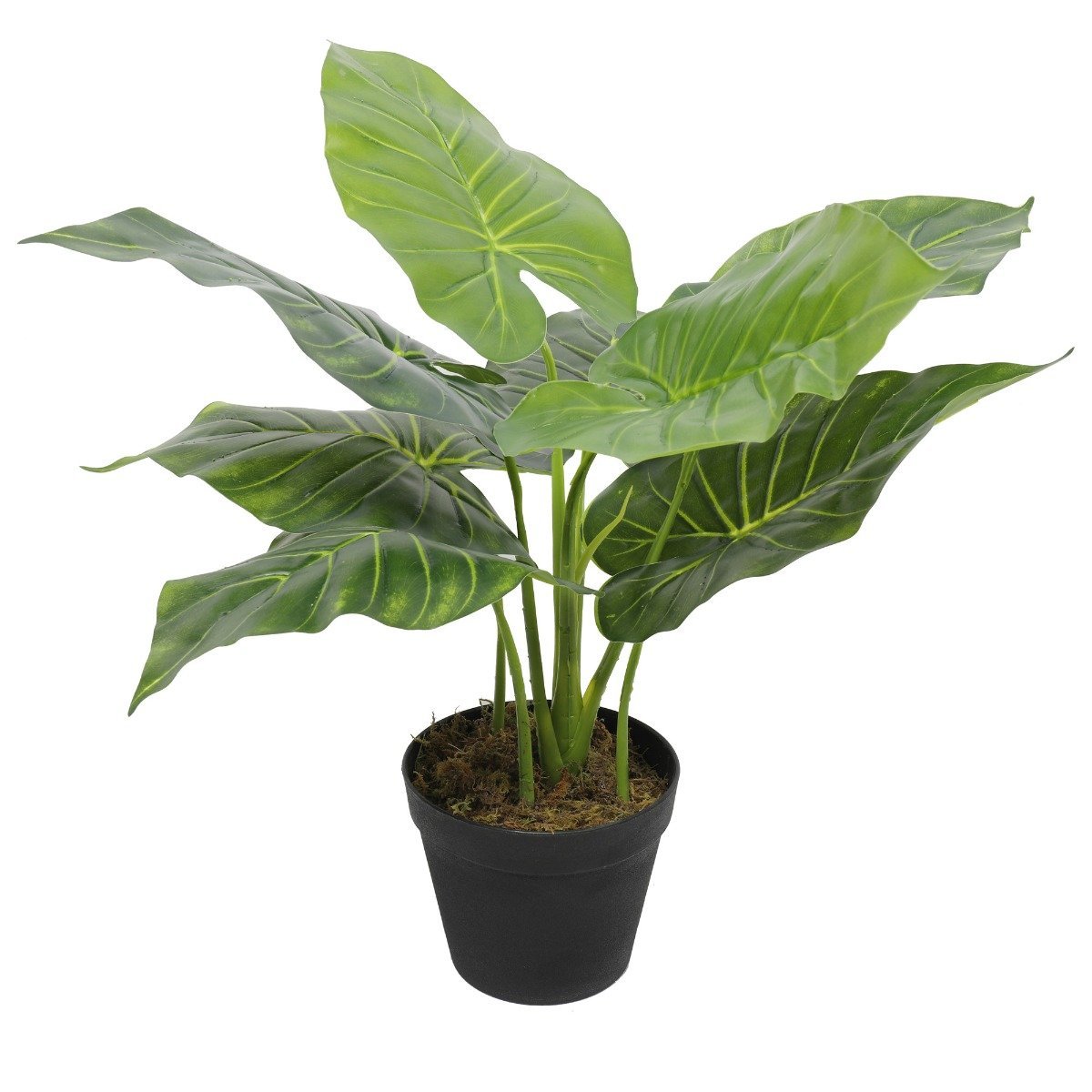 Artificial Potted Taro Plant / Elephant Ear 55cm-0