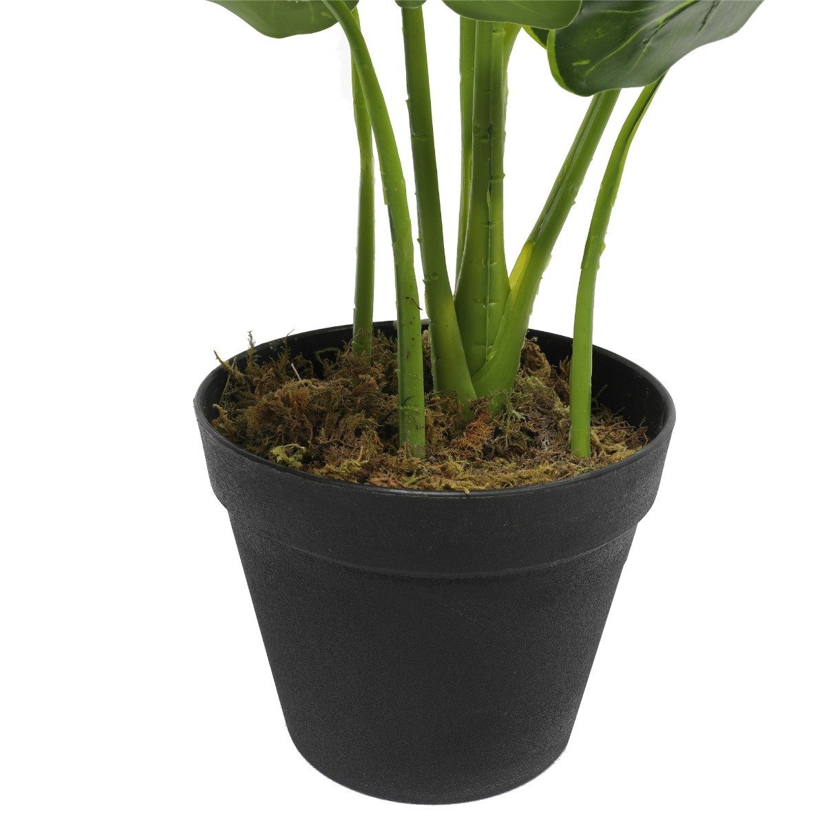 Artificial Potted Taro Plant / Elephant Ear 55cm-2