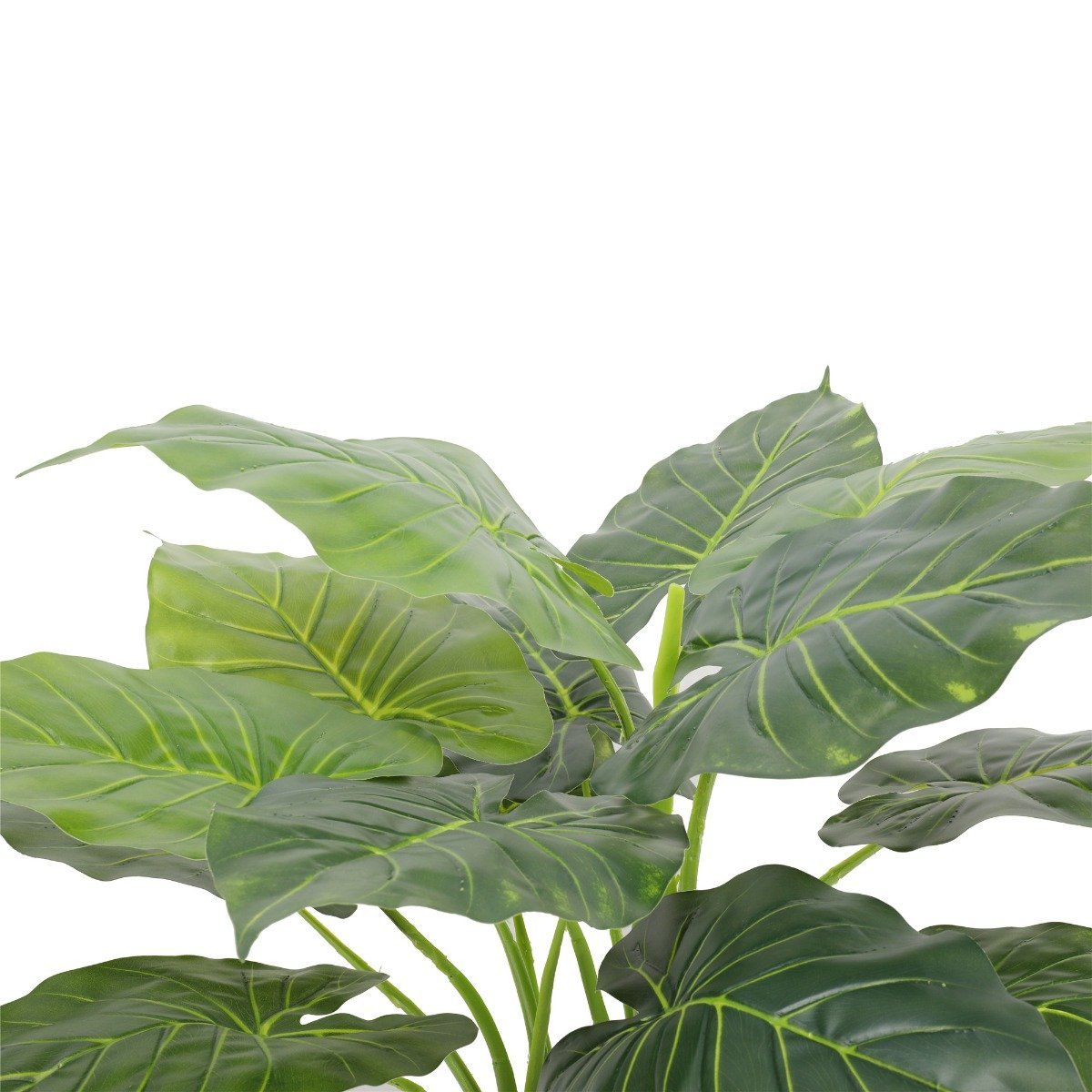 Artificial Potted Taro Plant / Elephant Ear 70cm-1