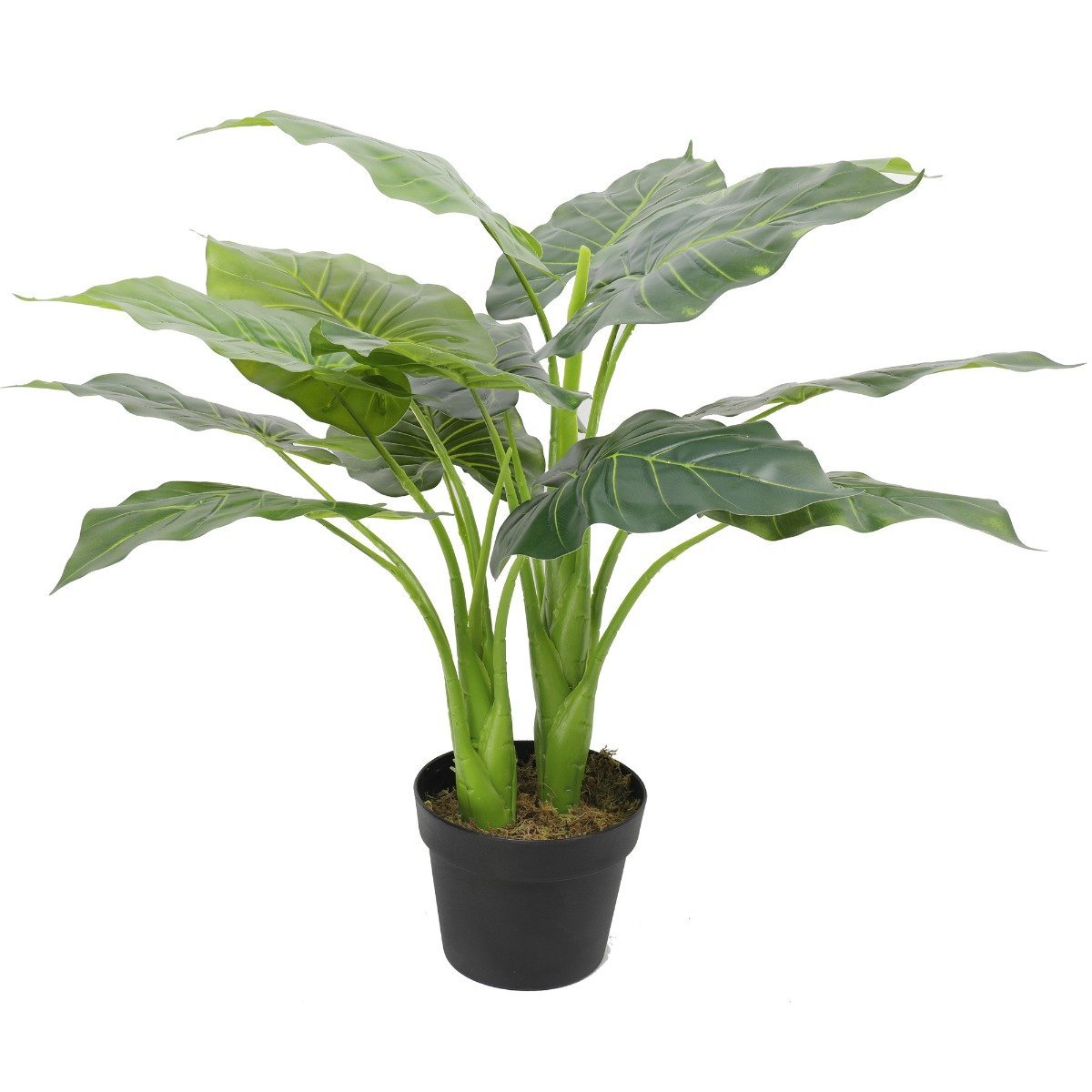 Artificial Potted Taro Plant / Elephant Ear 70cm-0