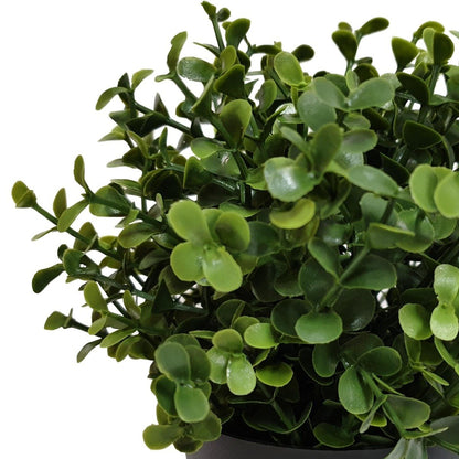 Small Potted Artificial Buxus Plant UV Resistant 20cm-1