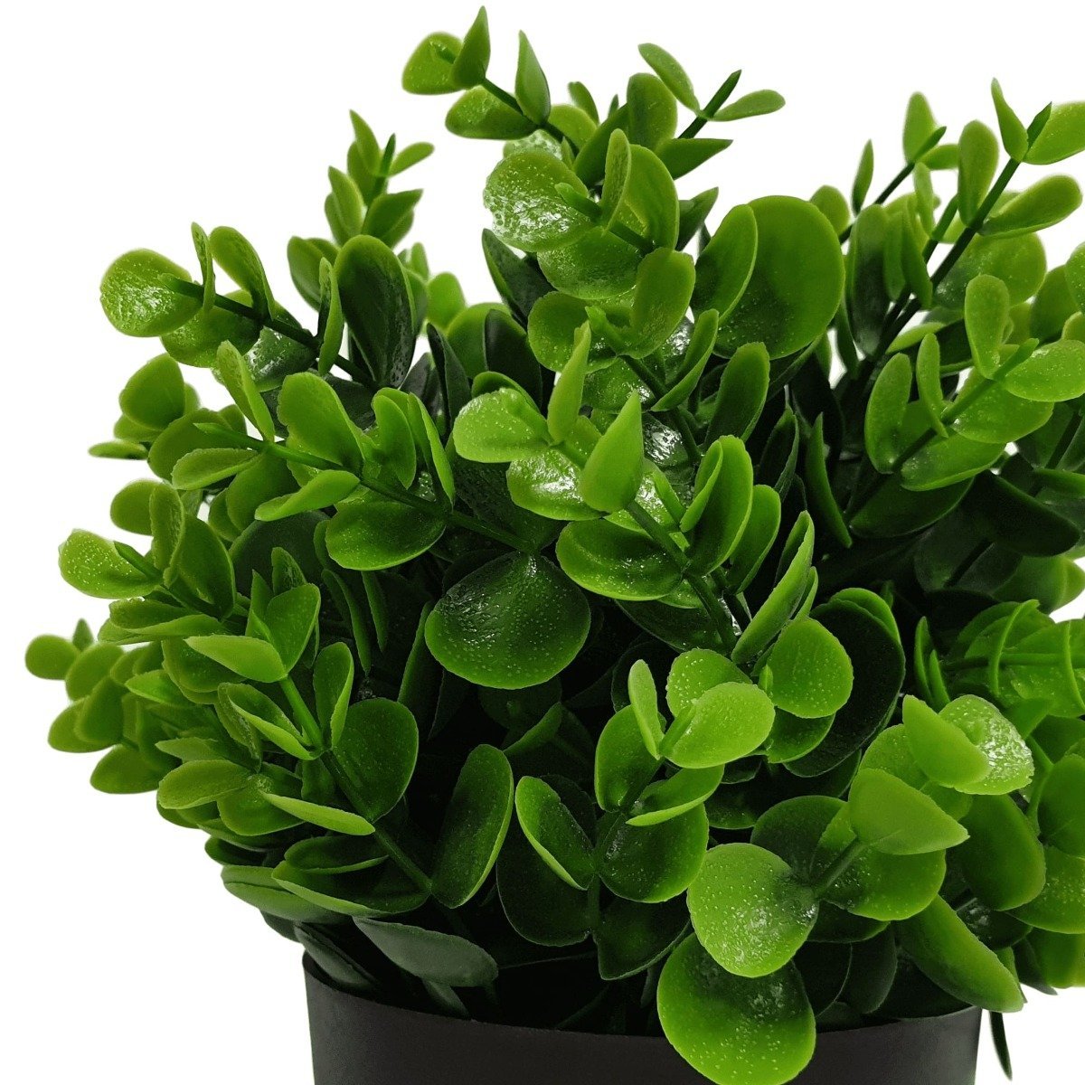 Small Potted Artificial Peperomia Plant UV Resistant 20cm-1